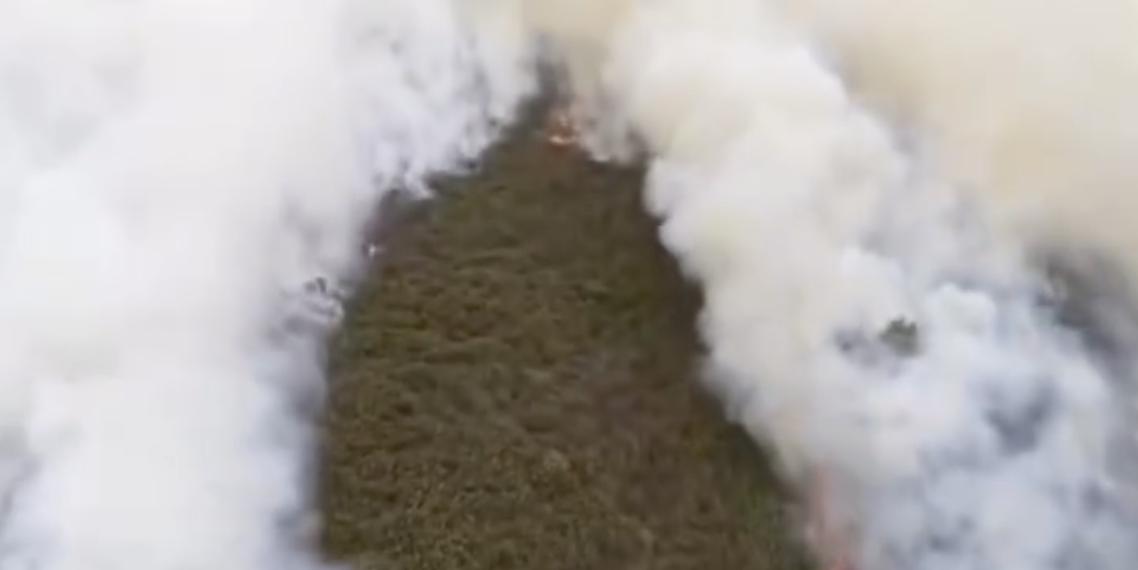 Thumbnail Karhutla Tanjung Puting Makin Mengkhawatirkan, Dua Lidah Api Besar Bakar Habitat Orangutan