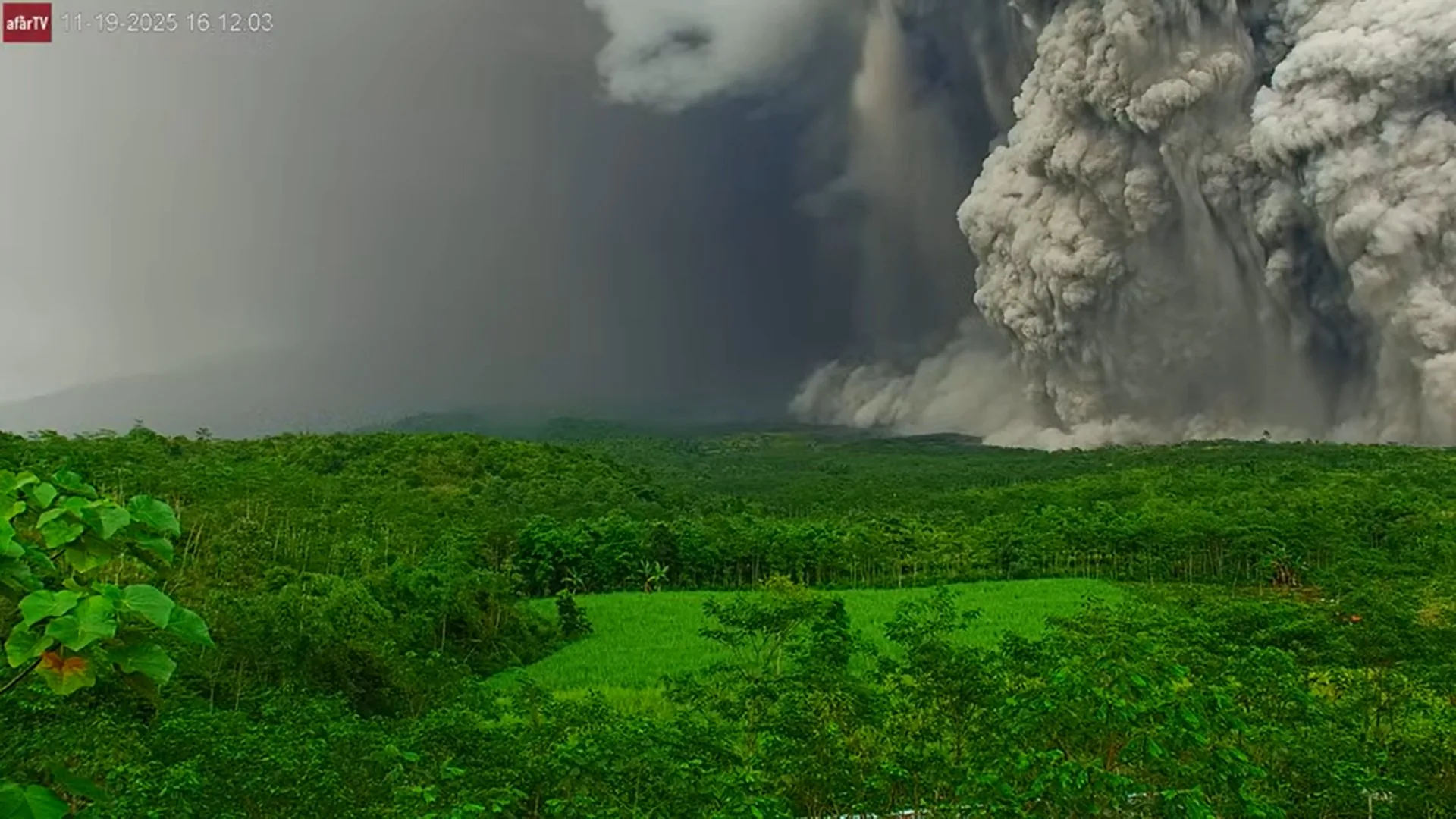 Thumbnail Erupsi Besar, Status Gunung Semeru Jadi Awas atau Level IV