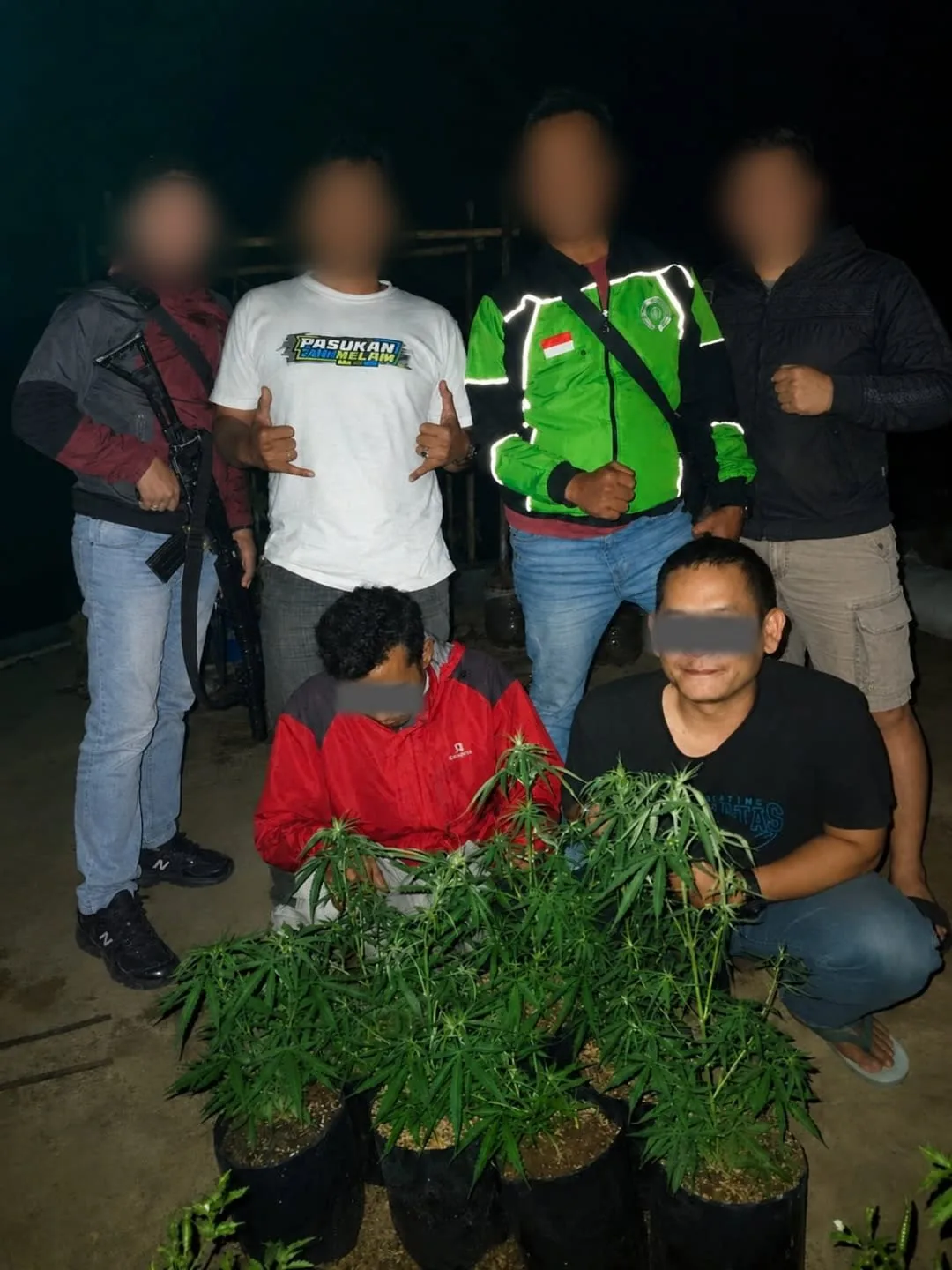 Tanam Ganja di Kebun Cabe, 2 Pemuda di Tasikmalaya Ditangkap