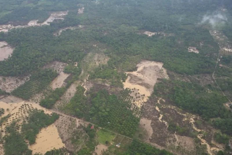 Thumbnail Menteri LH: DAS dan Hutan di Aceh Rusak, Habis untuk Sawit dan Tambang