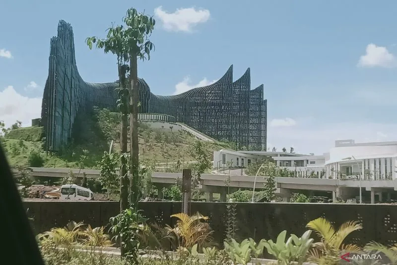 Ada 4.000 Hektare Tambang Ilegal di IKN