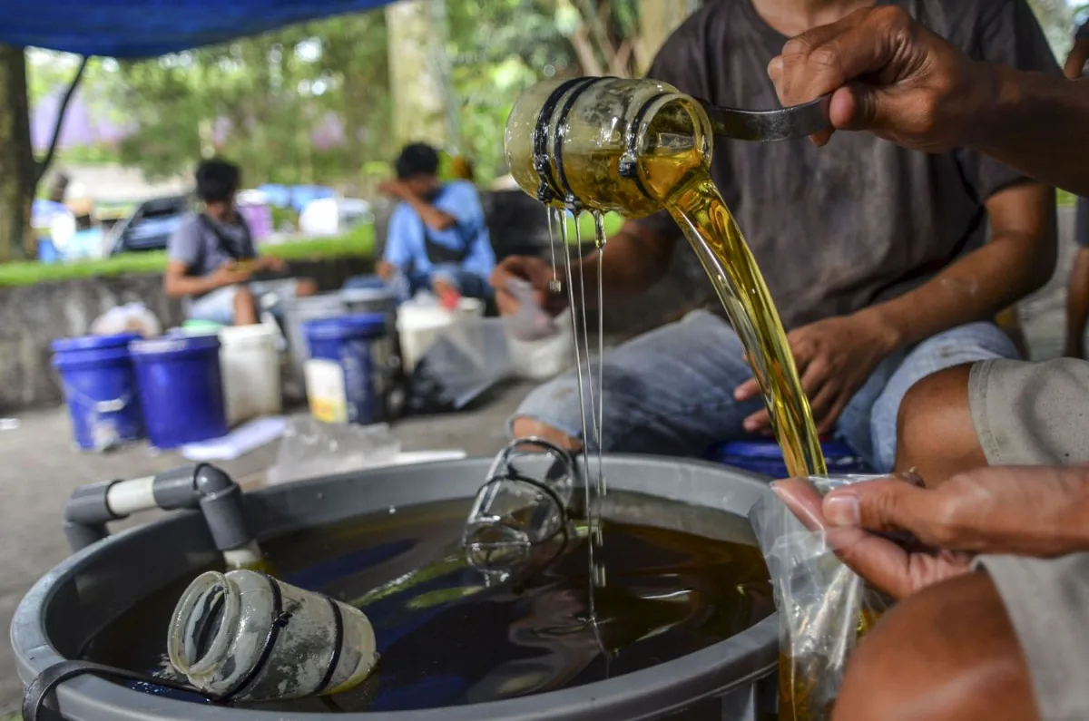 Harga Minyak Goreng Naik 16 Persen dalam Sebulan! Banten, Jakarta, Jabar Tertinggi