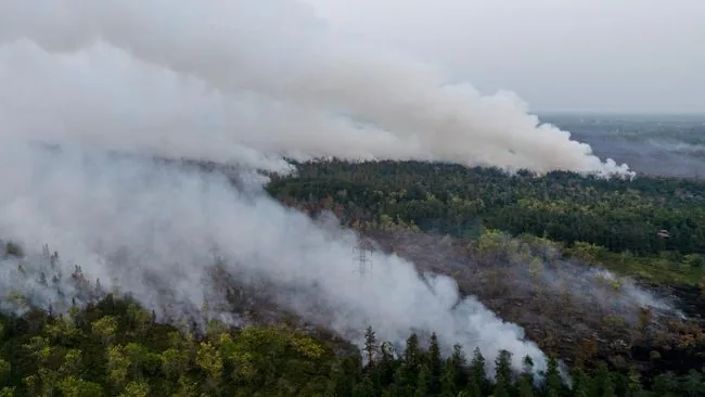ISPA akibat Karhutla Tembus 165.747 Kasus, DPR Minta Pemerintah Tetapkan KLB