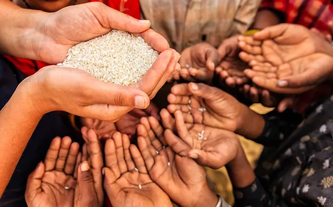 Harga Pangan Global Naik 2,4 Persen pada Maret 2026 Imbas Perang AS-Iran