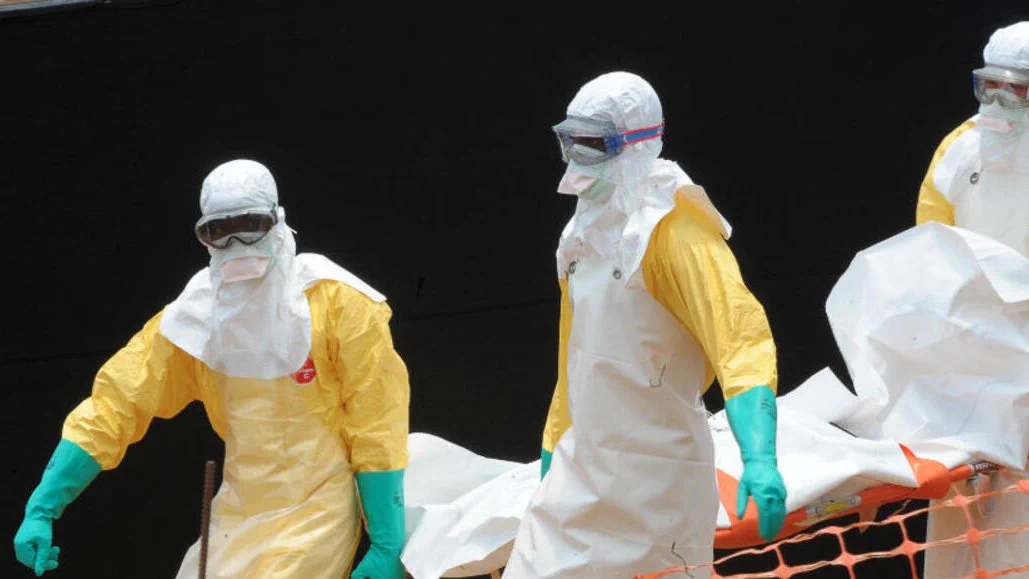 Virus Shamonda Tewaskan Manusia di Prancis, Kasus Pertama di Dunia, Virus Apa Itu?