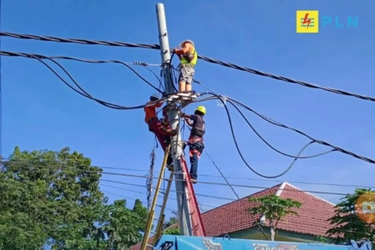 Pemadaman Bergilir Masih Terjadi, Begini Cara Cek Listrik Padam PLN Secara Online
