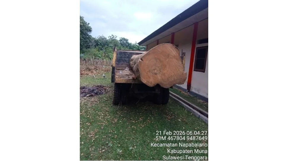 Pencuri Kayu Jati Raksasa di Cagar Alam Napabalano Diringkus, Terancam 11 Tahun Penjara