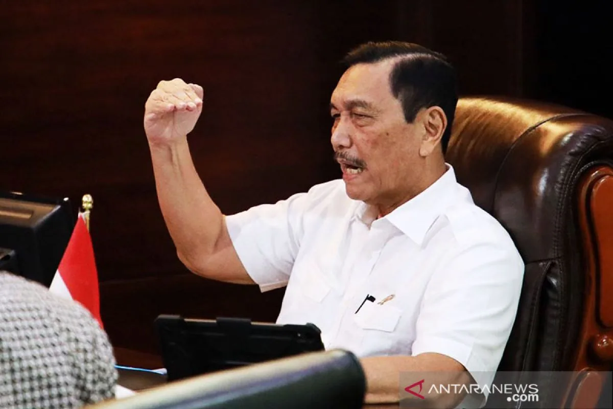 Luhut Binsar Panjaitan Bantah Miliki Toba Pulp Lestari