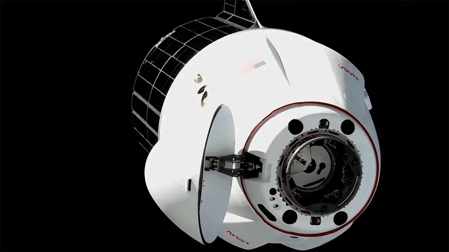 NASA Kirim Otak Mini dan Jaringan Jantung ke Luar Angkasa, Buat Apa?