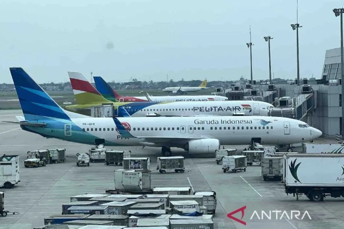 Harga Tiket Pesawat Turun 13-14 Persen pada Natal dan Tahun Baru