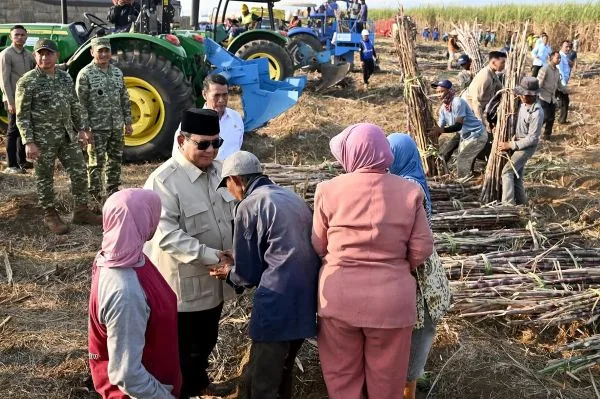 Prabowo Targetkan BBM E20 dalam 2 Tahun, 2 Juta Hektare Lahan Tebu Disiapkan