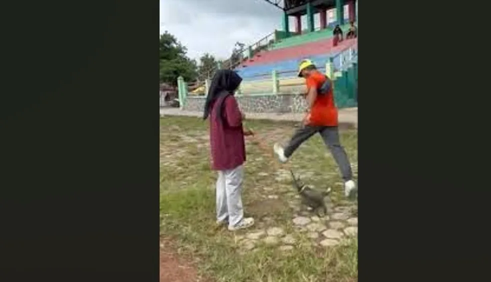 Pria Tendang Kucing hingga Tewas di Blora Terancam 1,5 Tahun Penjara dan Denda 50 Juta